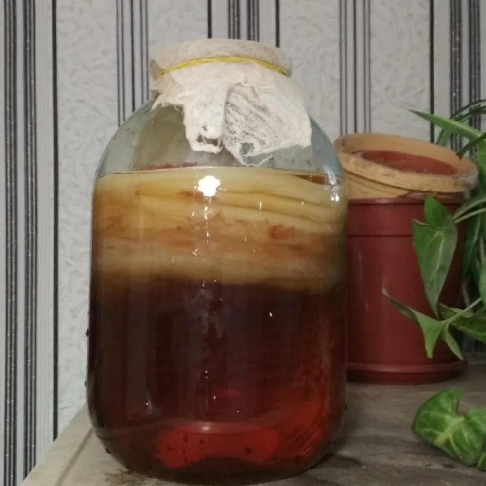 Δομική ακεραιότητα και έλεγχος